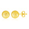 14k Yellow Gold Ball Earrings with Crystal Cut Texture